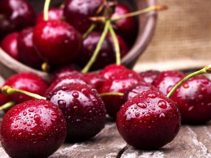 Вишня купить саженцы из питомника в Узловой